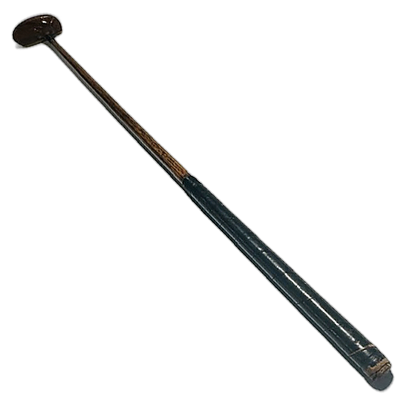 Wright & Ditson brass-face wood mallet putter hickory golf full club view